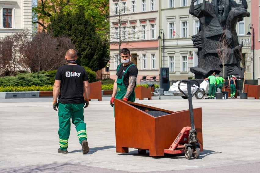 Estetyczne zmiany w centrum Bydgoszczy. Na Starym Rynku pojawiły się donice z roślinami [zdjęcia]