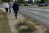 Gorzów. Chodniki i ścieżki rowerowe zarastają chwastami