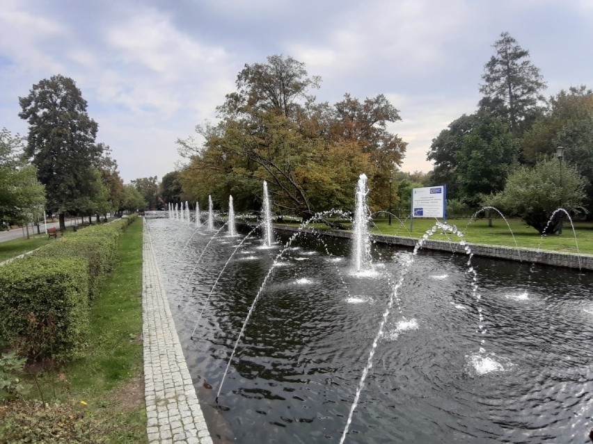 Pierwsze oznaki jesieni w parku w Wejherowie