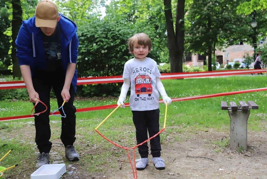 Piknik rodzinny dla Krzysia Czupryna w Radomiu. Spotkanie z alpakami, występy muzyczne i nie tylko