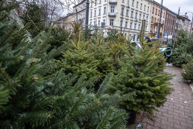 Większość z nas nie wyobraża sobie Świąt Bożego Narodzenia bez choinki. Niestety panująca "drożyzna" przyczyniła się także do wzrostu cen świątecznego drzewka. Trzeba się zatem liczyć z tym, że choinka będzie droższa niż w ubiegłym roku. 

Sprawdź ceny choinek w 2022 roku -->