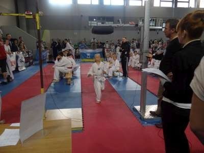 Wielkie święto taekwondo w Pleszewie!
