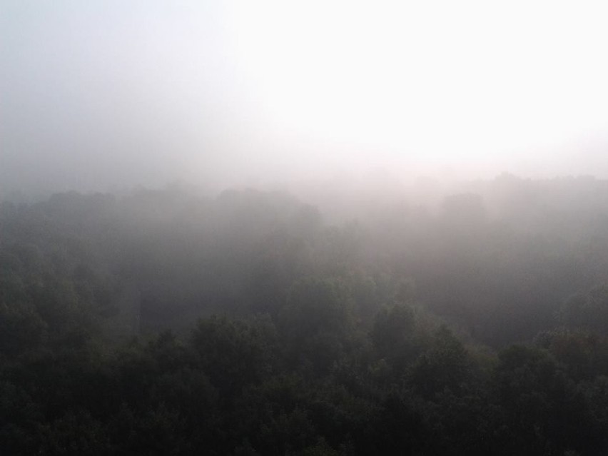 Mgła w Poznaniu, 20.09.2014 r.