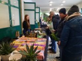 Jungle Bazaar, czyli targi roślin i sadzonek w Radomiu. Można kupić kwiaty i rośliny ozdobne. Zobacz zdjęcia