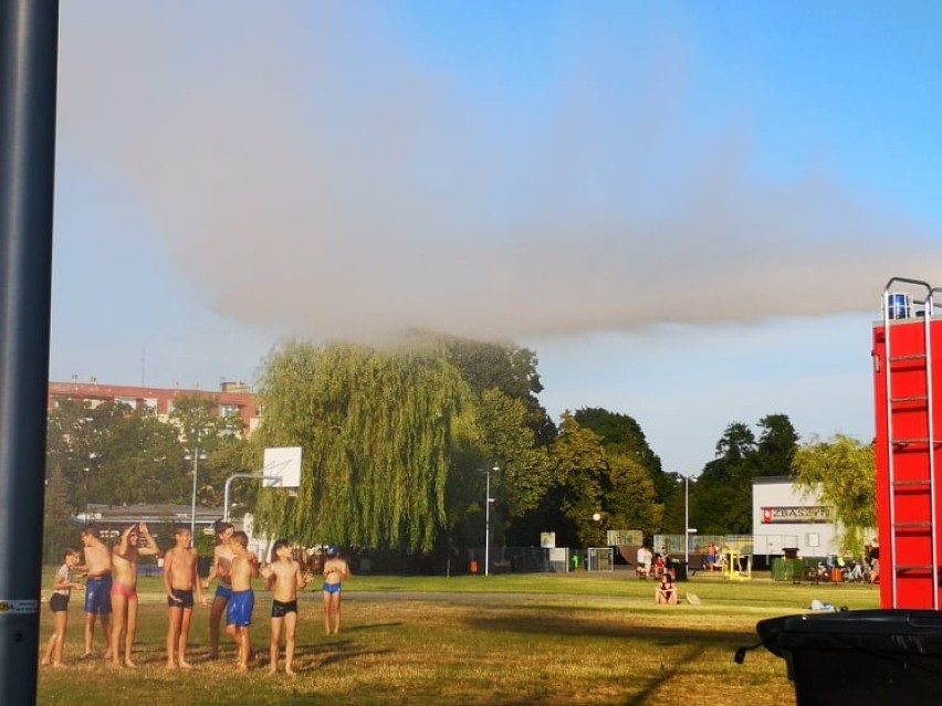 Plaża miejska "Łazienki". Uczta dla trawy, radość dla dzieci - 24 czerwca 2019