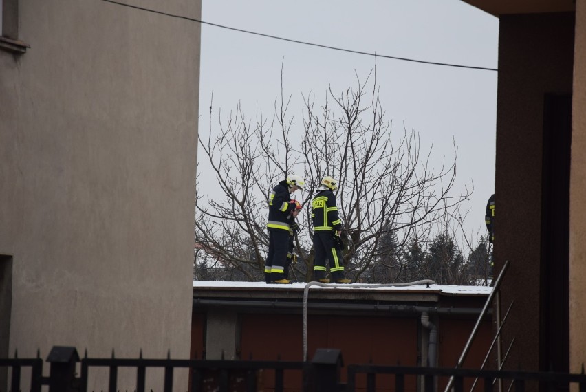 Pożar gołębnika na ulicy Widok w Kaliszu