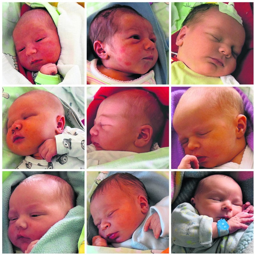 Dzieci urodzone w gnieźnieńskim szpitalu w lipcu 2019 roku [FOTO]