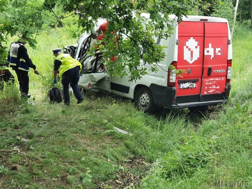 Wypadek w Osowcu. Kierowca kurierskiego busa uderzył w drzewo. Jest ranny [ZDJĘCIA]