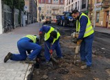 Położą nowy asfalt na ulicy Skarbowej w centrum  Leszna. Czy drogowcy zakończą roboty w zaplanowanym terminie?