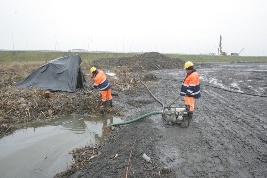 DTŚ w Gliwicach: odwiedziliśmy plac budowy