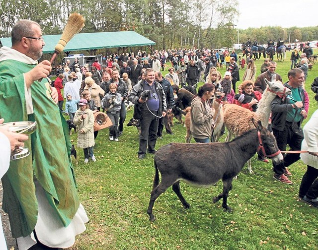 W Kalonce pojawiły się cztery konie należące do straży miejskiej w Łodzi. Podczas mszy poświęcony został również nowy samochód straży miejskiej do przewożenia złapanych na ulicy bezpańskich psów. Auto jest darem od łódzkiego Schroniska dla Zwierząt dla strażników. 

Na mszy w Kalonce była również Bogumiła Skowrońska-Werecka, dyrektor schroniska dla zwierząt przy ul. Marmurowej, która była pomysłodawczynią mszy dla czworonogów.

Wolontariusze i pracownicy schroniska przy Marmurowej przywieźli ze sobą kilkanaście psów. Wszystkie miały kolorowe szarfy lub szaliki. Był wśród nich m.in. Reks, pies uratowany przez strażników miejskich.