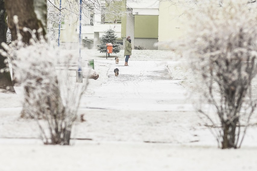 Wreszcie mamy śnieg na święta! Warszawa przysypana białym...