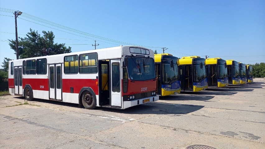 Jubileusze pabianickiej komunikacji publicznej. W ramach Dni Pabianic będzie można przejechać się starym autobusem!