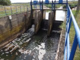 Kanał Obry - kamienie na wałach i samowolne majstrowanie przy urządzeniach hydrotechnicznych, czyli Wody Polskie apelują o rozsądek [FOTO]