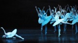 Moscow City Ballet pokaże "Jezioro Łabędzie" w Opolu [bilety]