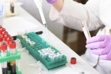 13 nowych zachorowań na koronawirusa w Wielkopolsce