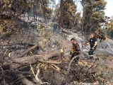 Dolnośląscy strażacy, również z Legnicy, wciąż gaszą pożary w Grecji