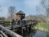 Rezerwat Archeologiczny na Zawodziu. W Lany Poniedziałek szukali tutaj zająca. ZDJĘCIA