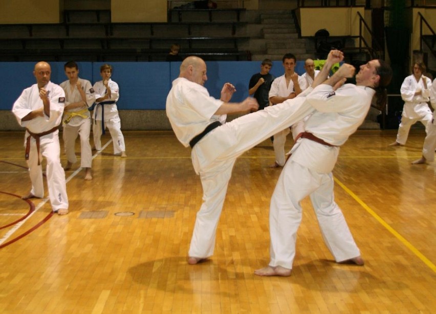 Żory: Seminarium karate już w sobotę. Co w programie?