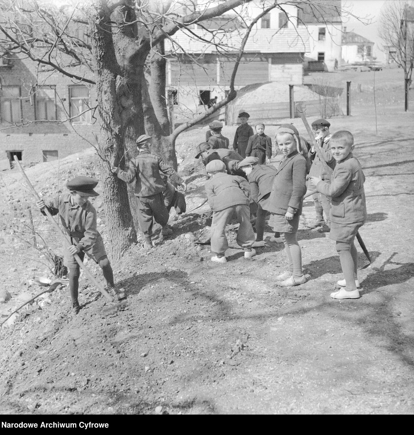 Tak kiedyś wyglądała Włodawa. Zobacz historyczne fotografie 