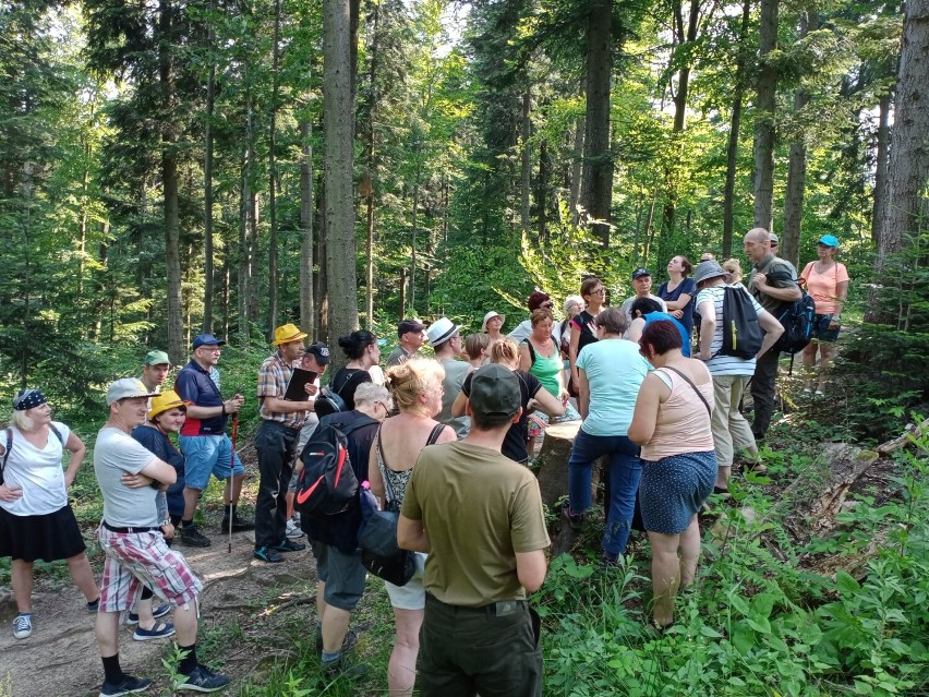 Wypoczywający w Iwoniczu-Zdroju mogą poznać ciekawostki iwonickich lasów. Nadleśnictwo organizuje spacery z leśnikami w roli przewodników