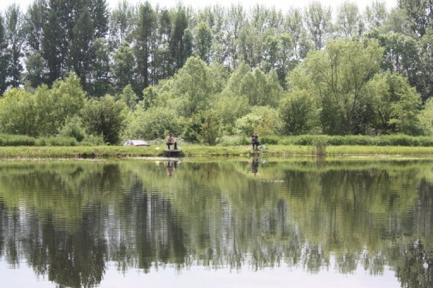 Zawody wędkarskie „O Puchar Burmistrza Miasta Sanoka"