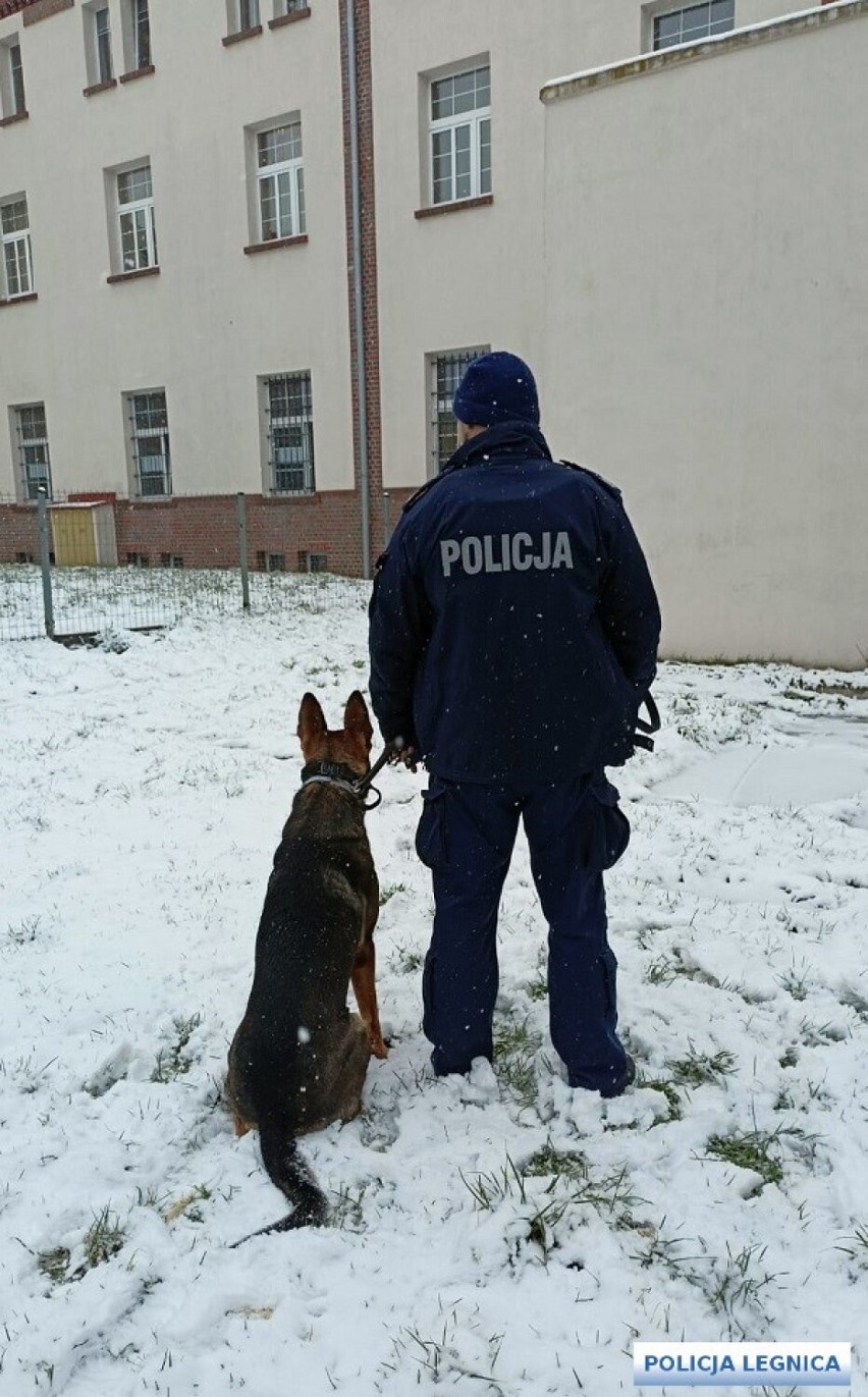 Spowodował wypadek będąc pod wpływem narkotyków