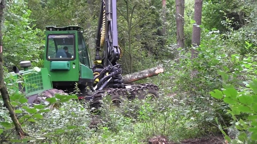 Wielka wycinka w podkrakowskim Zabierzowie, w akcji harvestery