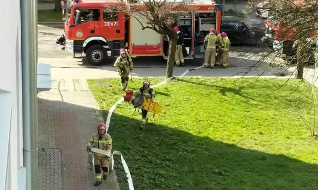 Niedzielna akcja straży w bloku na kieleckim osiedlu KSM.