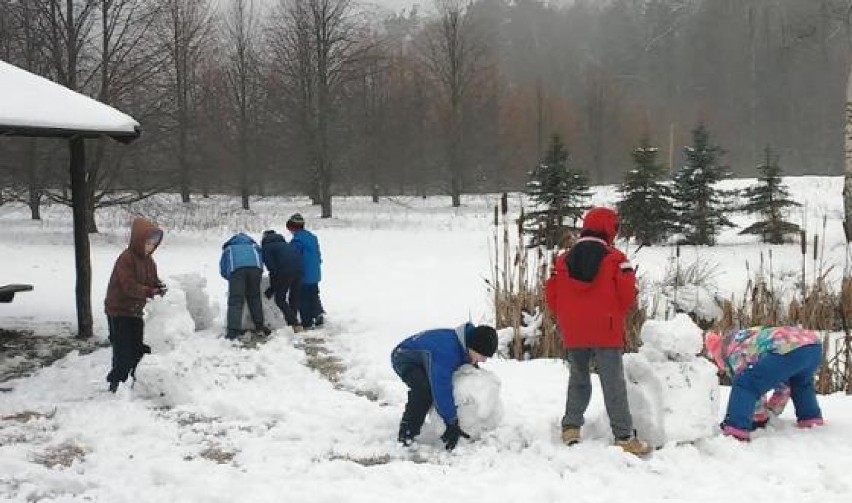 Leśnicy przygotowali dla dzieci ferie zimowe