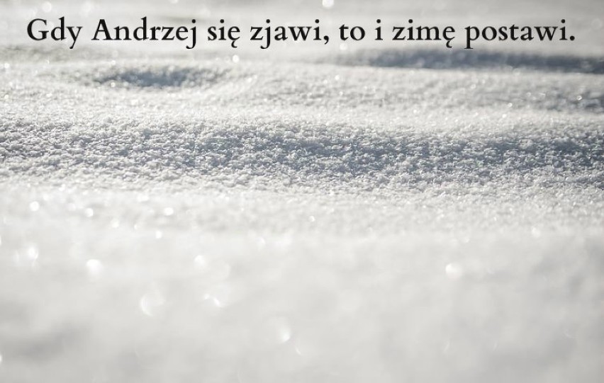 Gdy Andrzej się zjawi, to i zimę postawi.