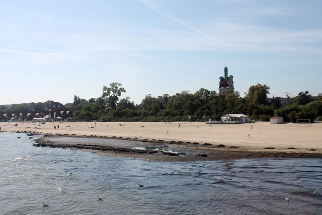 Glony na plaży w Sopocie przeszkadzają mieszkańcom.