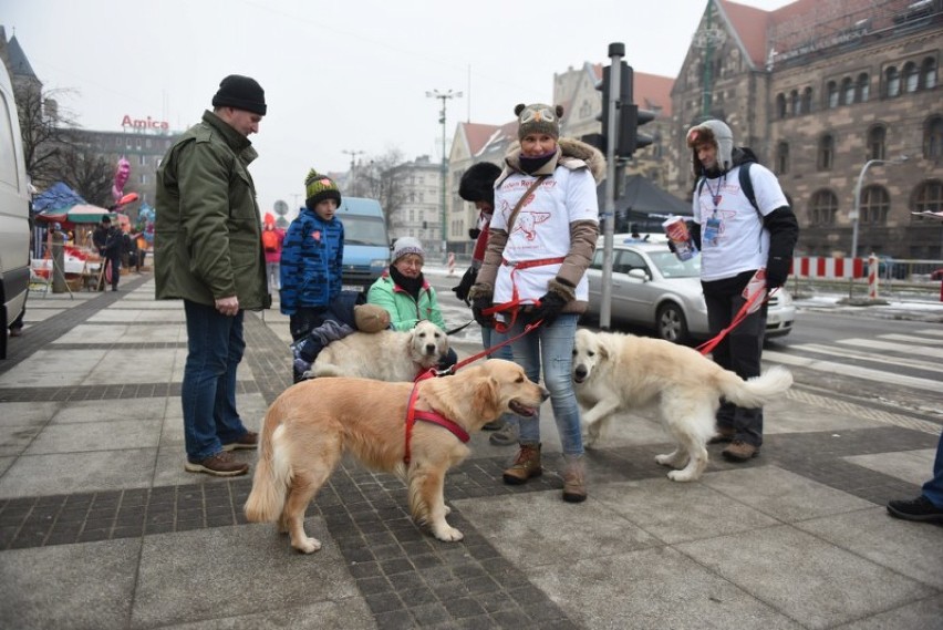 Od siedmiu lat w Poznaniu na rzecz Orkiestry kwestują psy