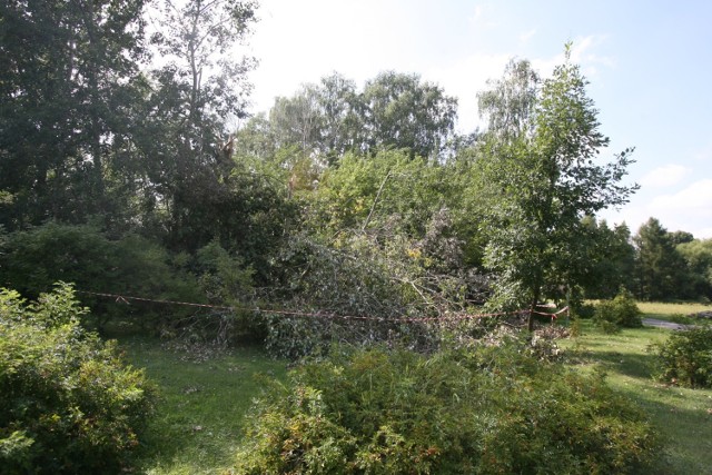 W łódzkim ogrodzie botanicznym nadal część terenów wygrodzona jest taśmami ostrzegawczymi