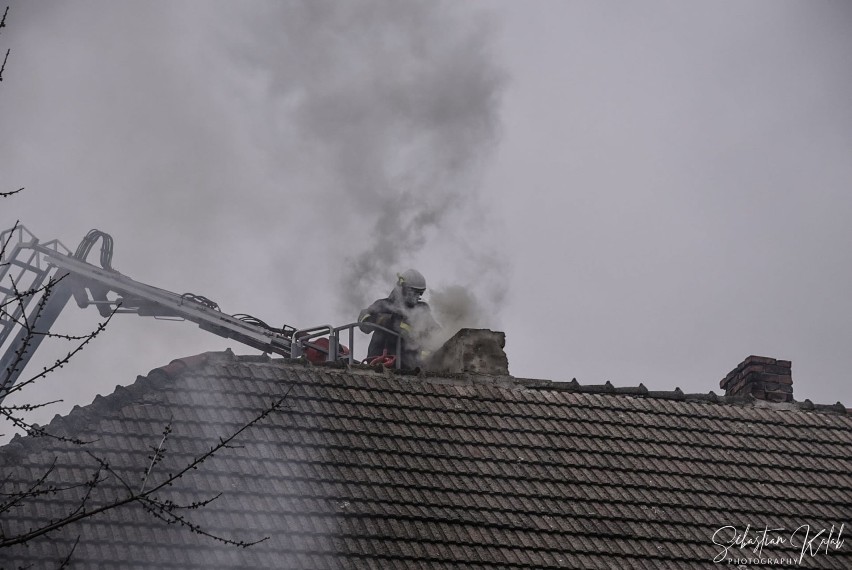 Pożar w jednym z domostw w Dzielicach [ZDJĘCIA]