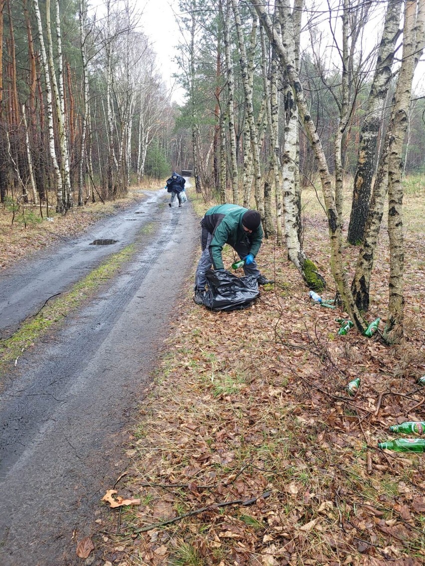 Akcja sprzątania brzegów zbiornika Słok i lasu na Słoku