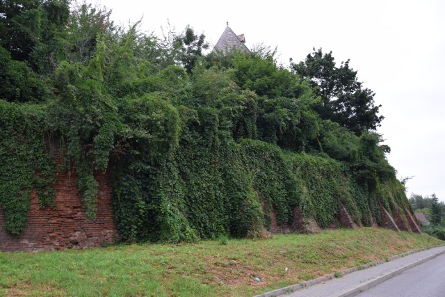 Mur oporowy wzdłuż ulicy Podgórze w Jarosławiu.