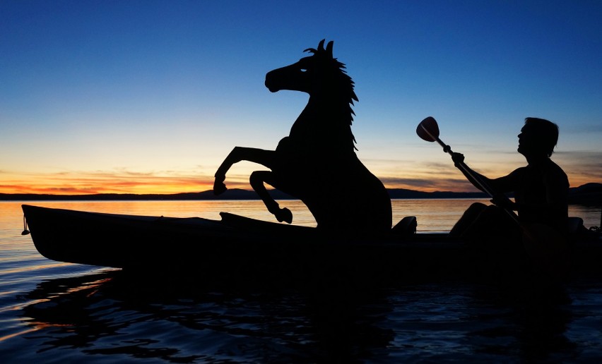 The Kayak Horse For anyone who has ever wondered if their...