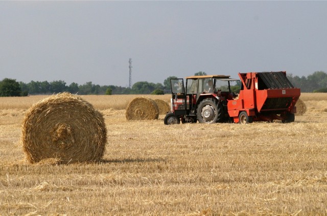 Dożynki w powiecie Gnieźnieńskim