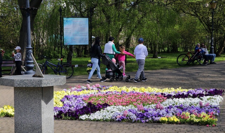 Ogród Botaniczny w Grudziądzu przyciąga wielu spacerowiczów....