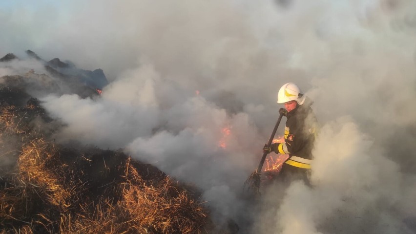 Pożar stogu siana w Szembruczku w powiecie grudziądzkim. W...