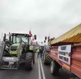 Protest rolników. Droga krajowa nr 24 w Kwilczu zablokowana - wyznaczono objazdy