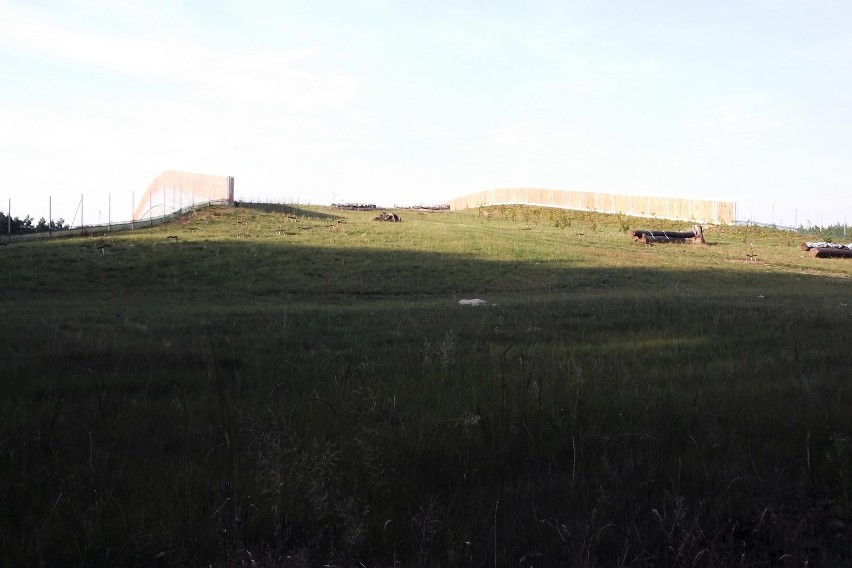 Zbąszyń. Przejście dla zwierząt. Autostrada A2. [ZDJĘCIA]