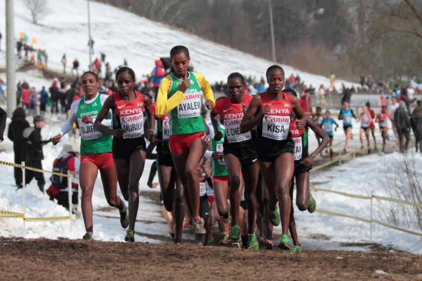 Cross Country Bydgoszcz 2013 - Seniorki