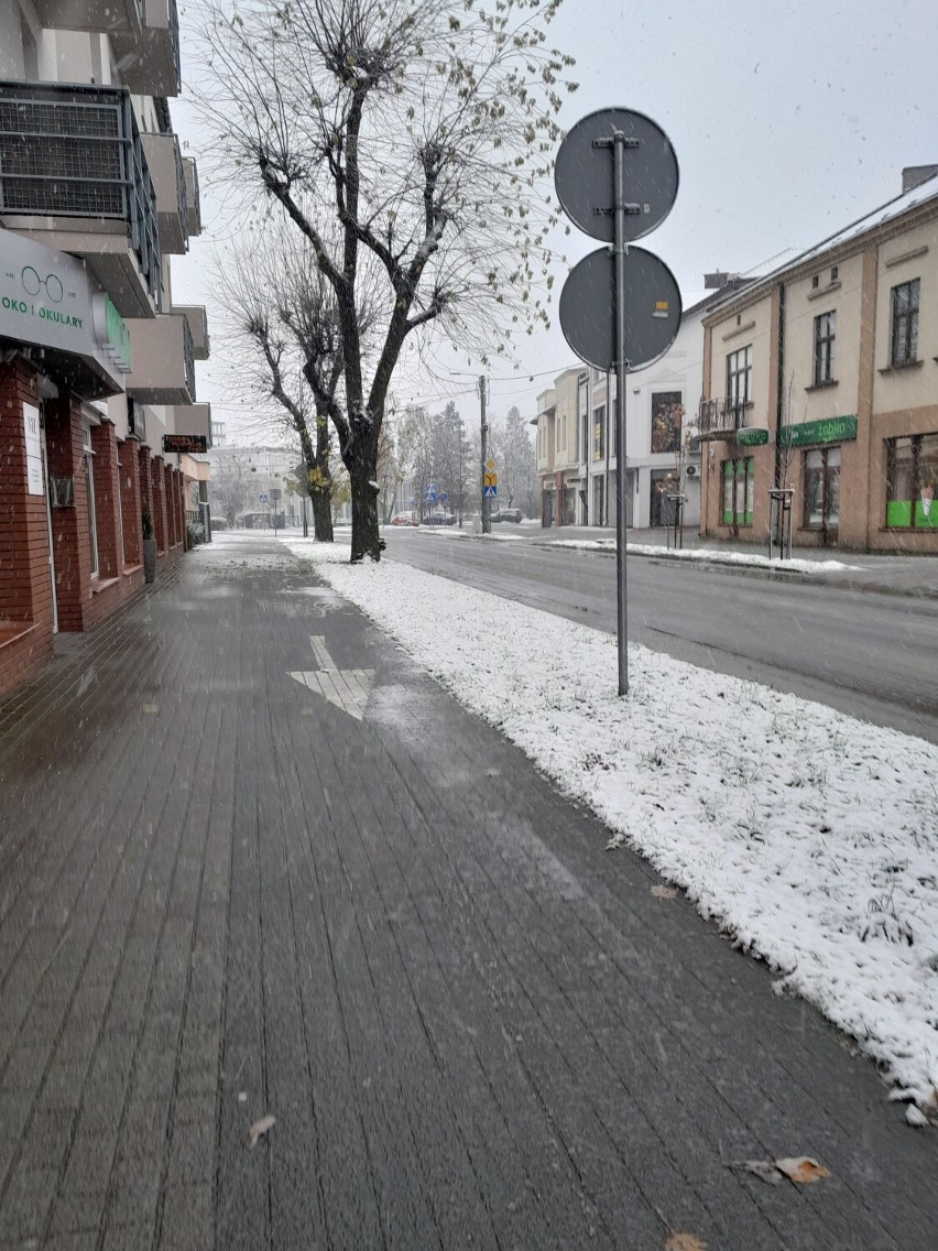 Pierwszy śnieg w Zduńskiej Woli.