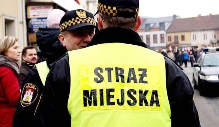 Aplikant w Straży Miejskiej we Włocławku zarabia od...