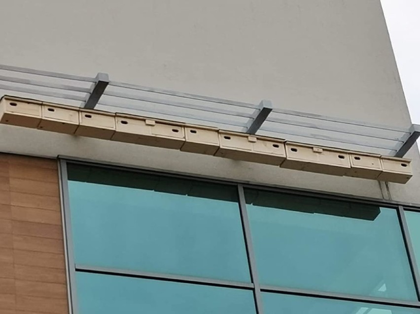 Budki lęgowe dla jerzyków zamontowane na budynku Kompleksu Basenów "Nemo" w Pustkowie Osiedlu