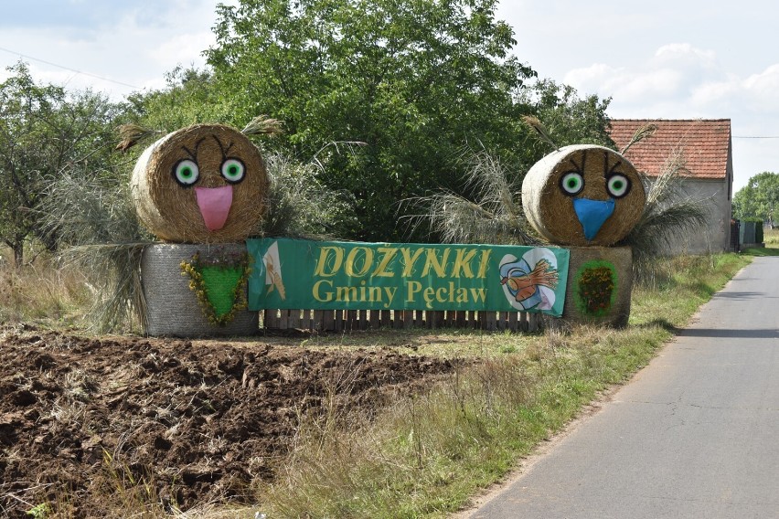 Zdjęcia z dożynek w Wojszynie