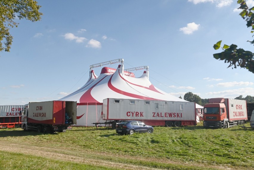 Na Błoniach pojawił się namiot cyrku Zalewski. Widowiska przez weekend