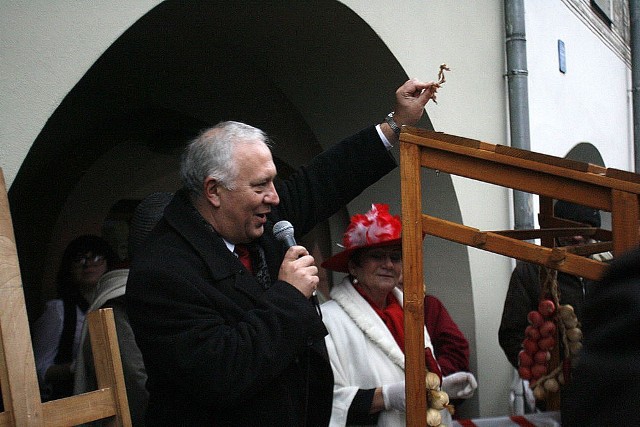 Gęsina na św Marcina w Legnicy - Prezydent Legnicy Tadeusz Krzakowski wraz z Elżbietą Chucholską z kości gęsi wywróżyli ,że zima będzie łagodna